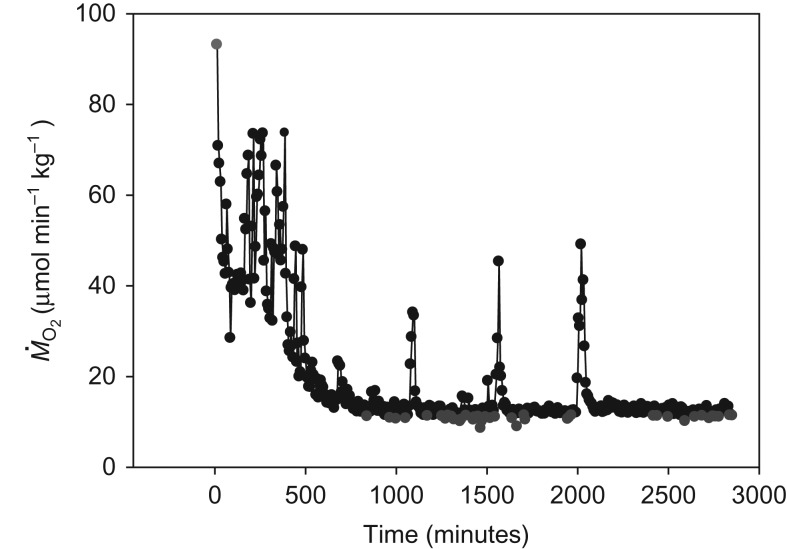 Figure 1: