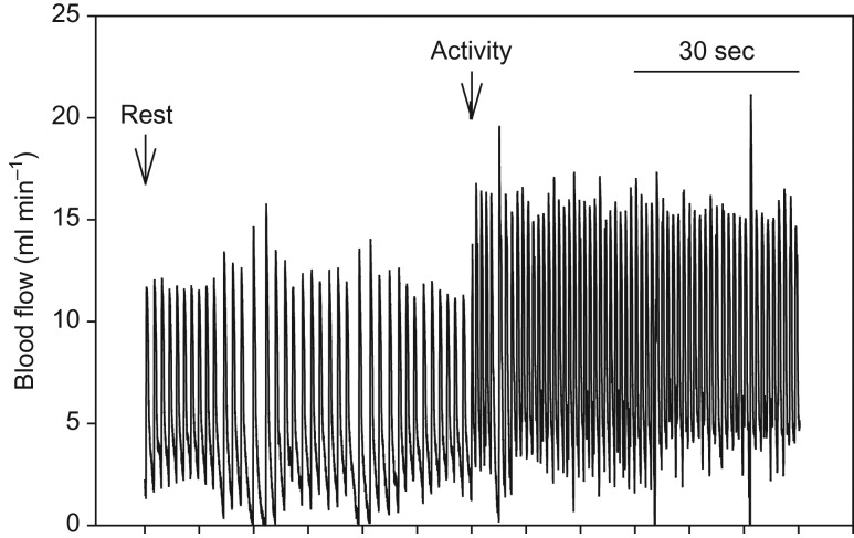 Figure 3: