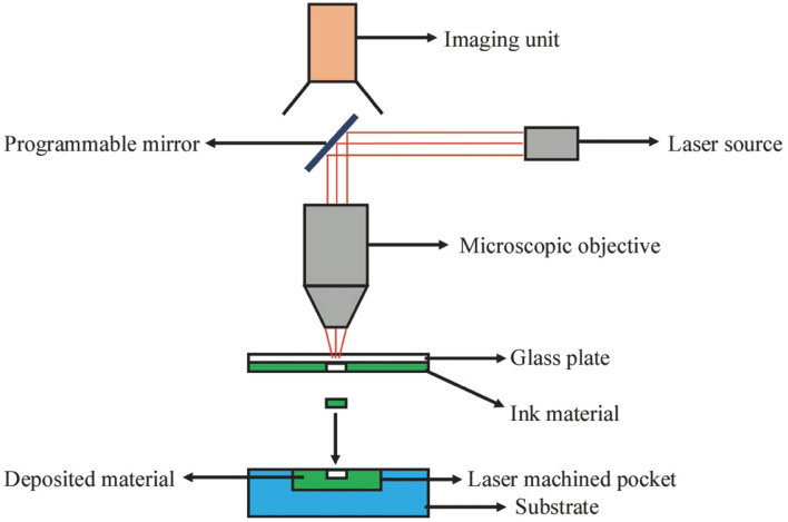 Fig. 7