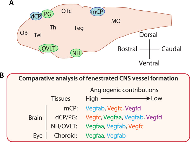 Figure 11.