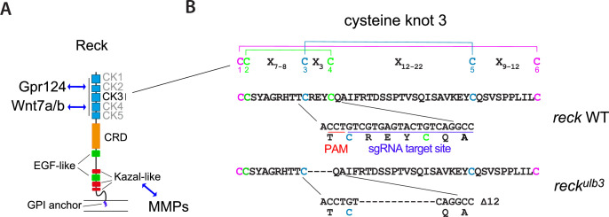 Figure 1—figure supplement 2.