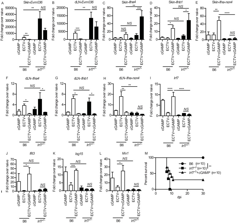 Fig 6