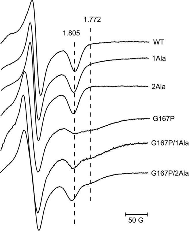 FIGURE 7.