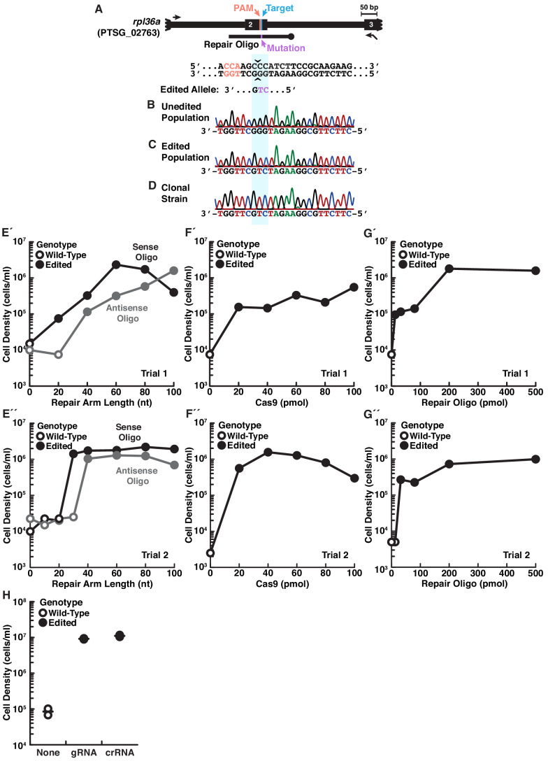 Figure 2—figure supplement 2.