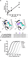 Figure 2—figure supplement 1.