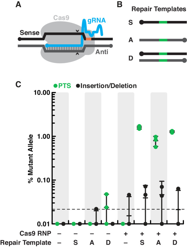 Figure 4.