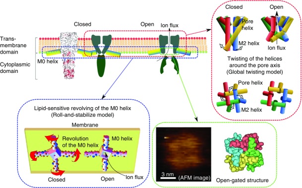 Figure 20