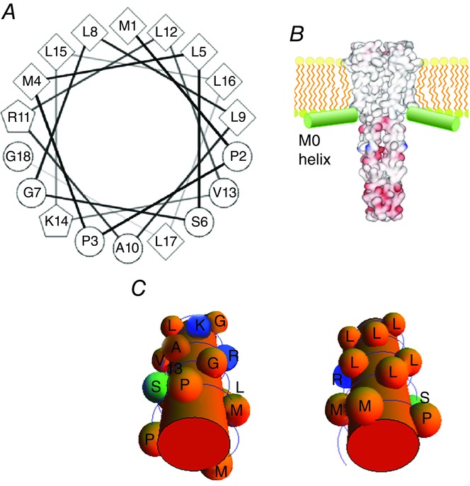 Figure 12