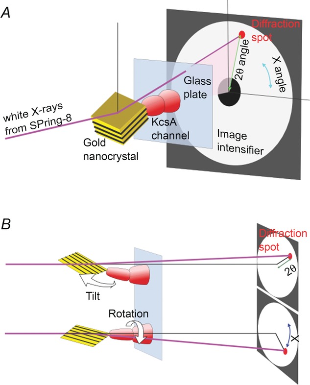 Figure 14