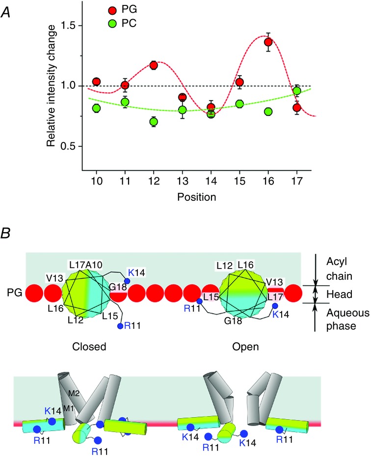 Figure 17