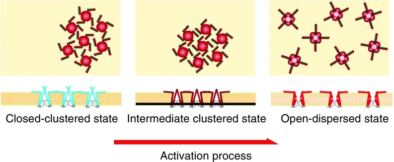 Figure 19