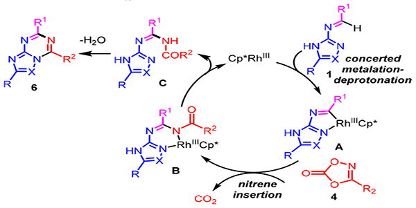 Scheme 5.