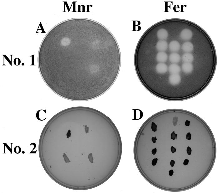 FIG. 3