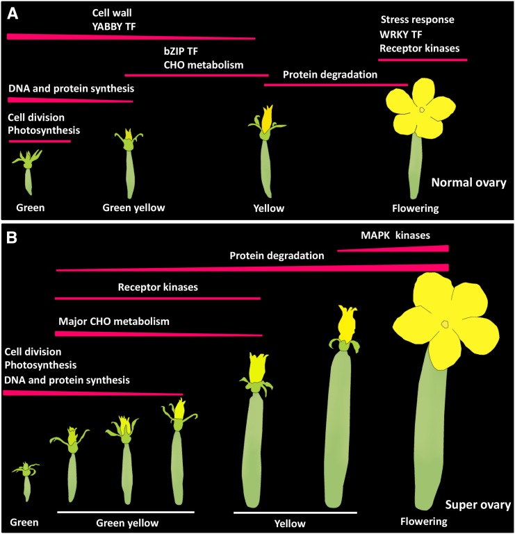 Figure 12.