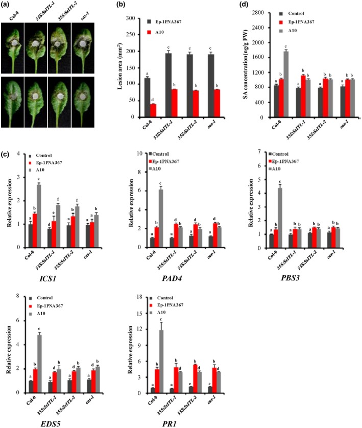 Figure 4