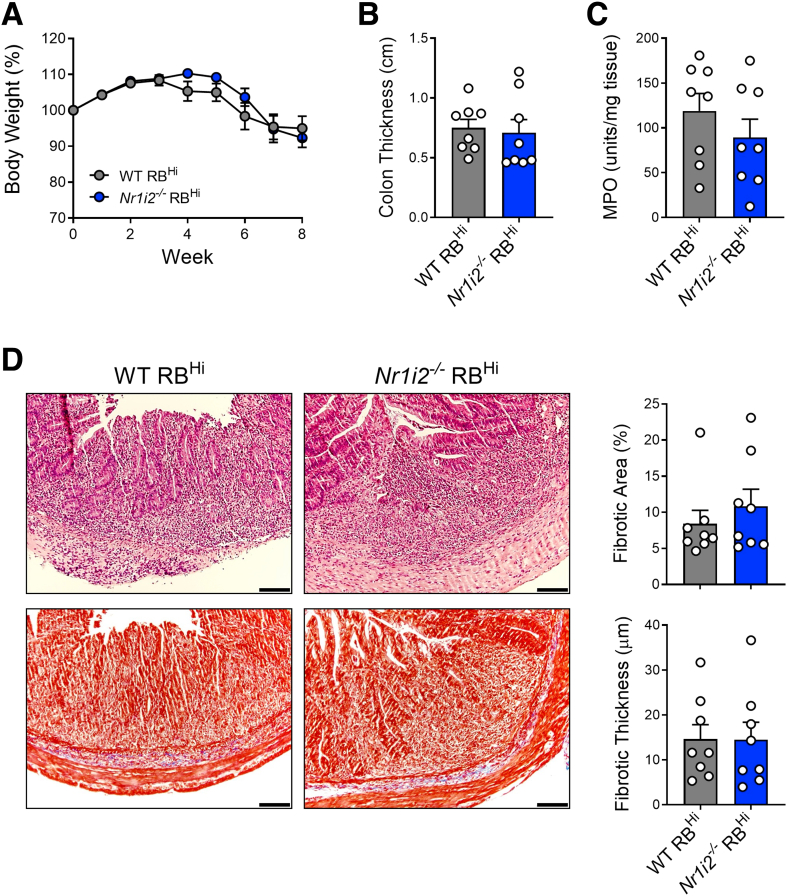 Figure 6