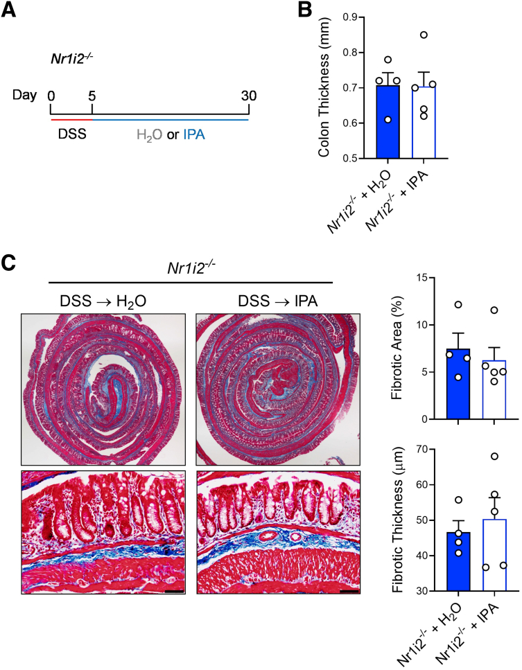 Figure 12