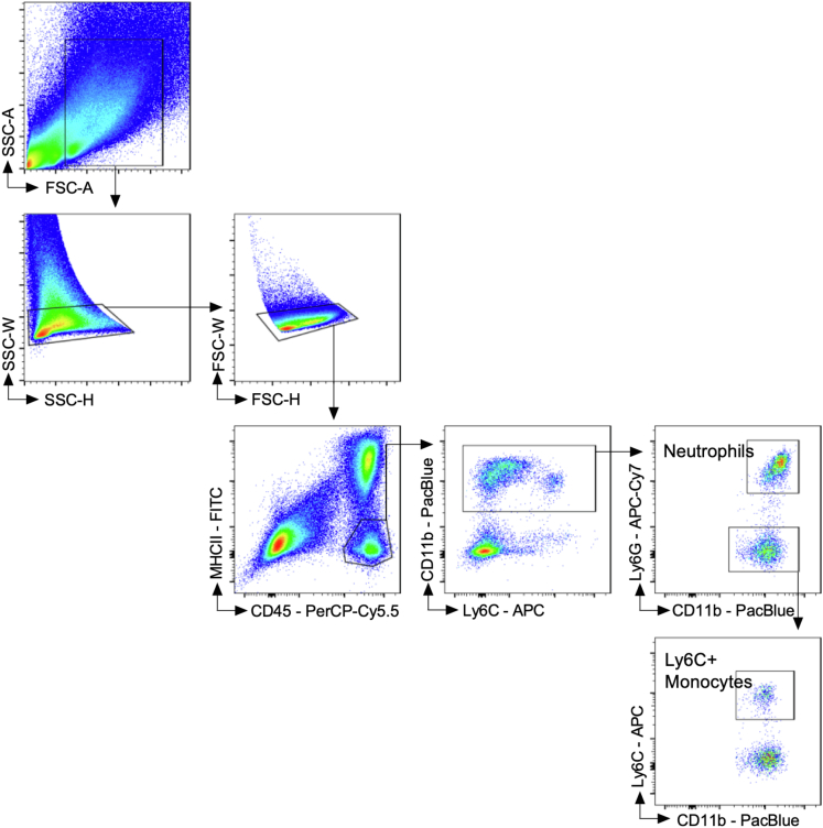 Figure 4