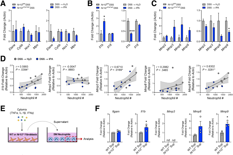 Figure 13