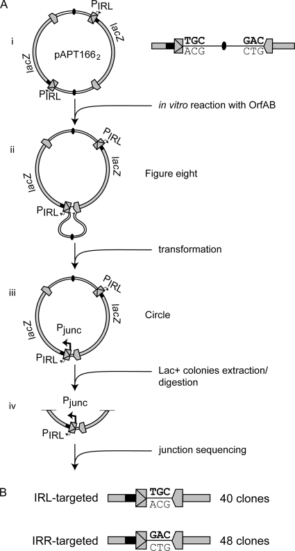 FIG. 3.