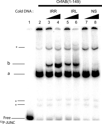 FIG. 5.