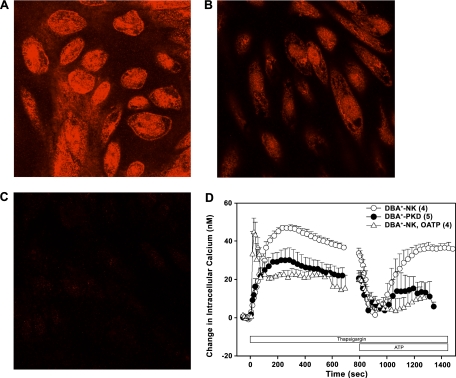 Fig. 9.