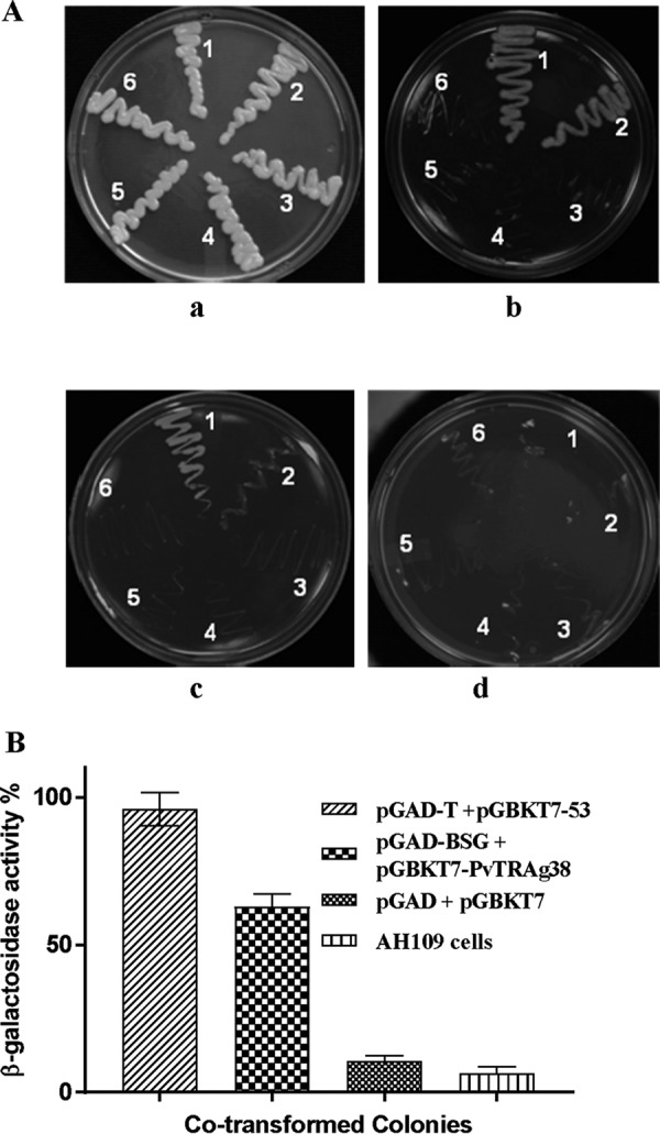 FIGURE 4.