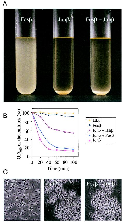 FIG. 4.