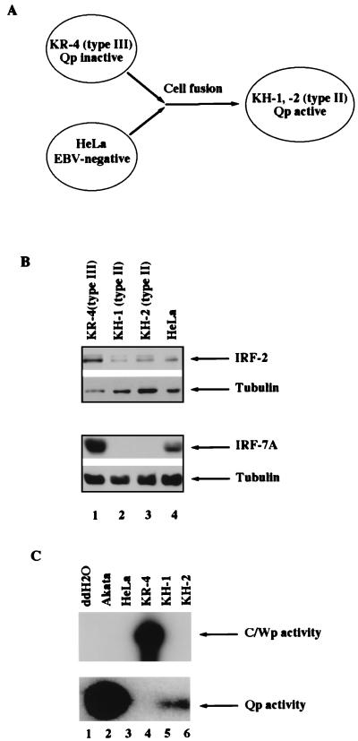 FIG. 5