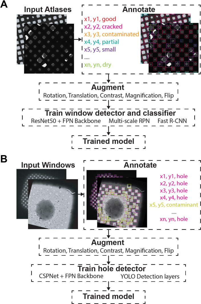 Figure 2—figure supplement 1.