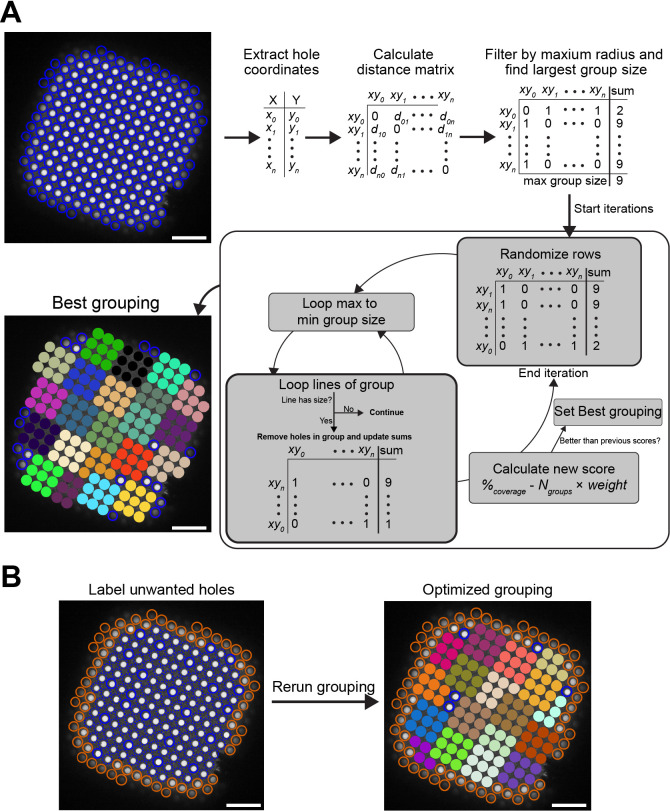 Figure 1—figure supplement 2.