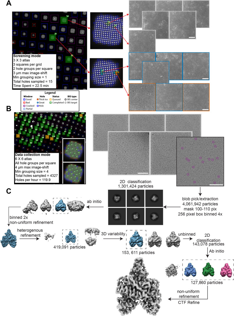 Figure 4—figure supplement 1.