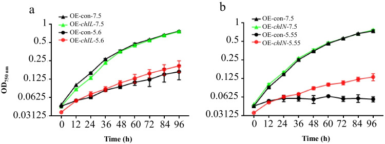 Fig. 4