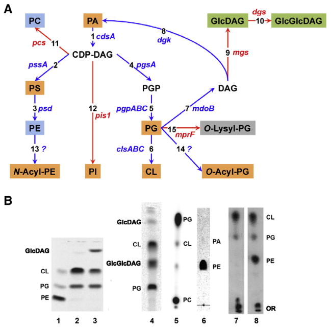 Fig. 2