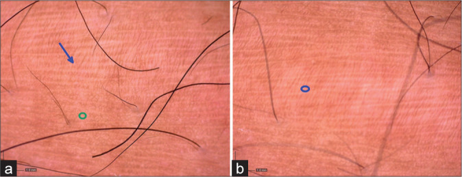 Figure 13: