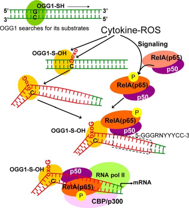 FIGURE 6.