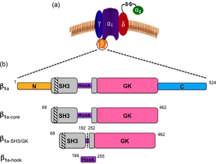 Figure 1.