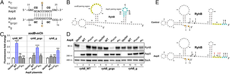 Fig. 6.