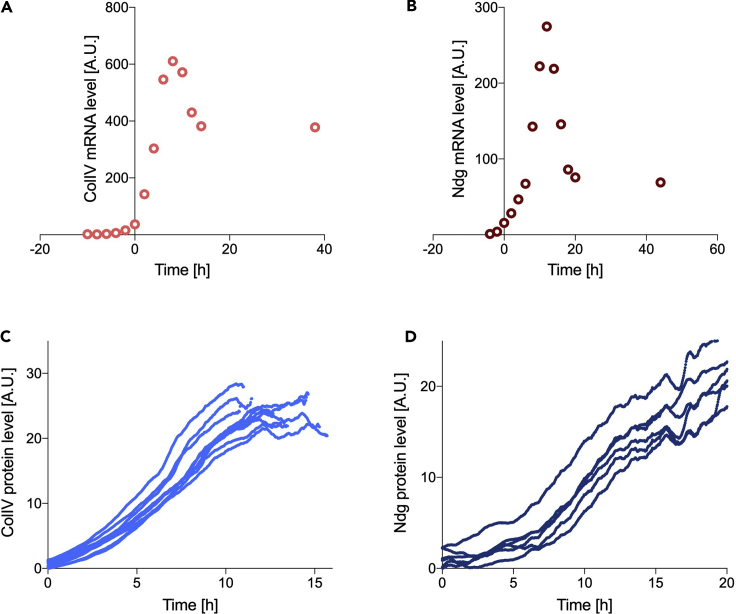 Figure 2