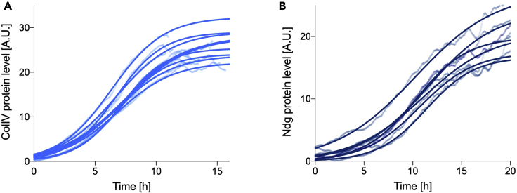 Figure 4