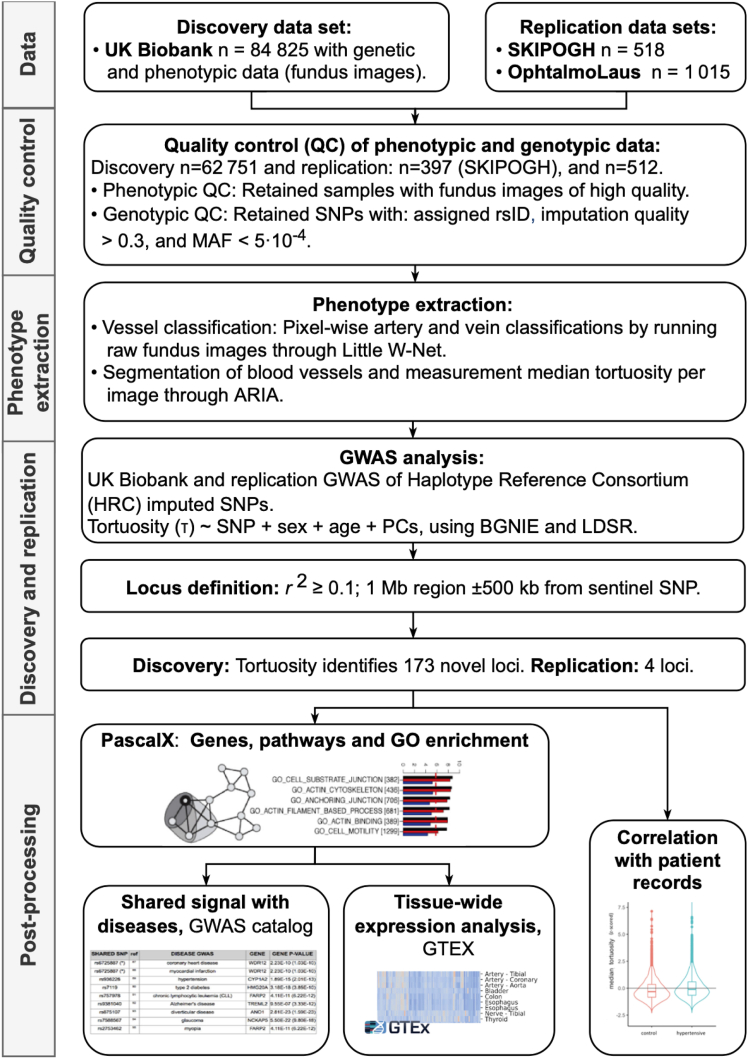 Figure 1