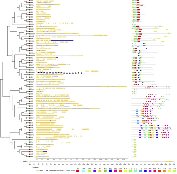 FIGURE 3