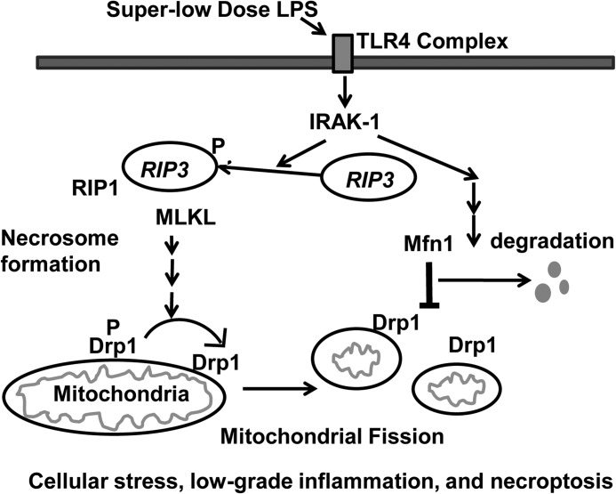 FIGURE 7.