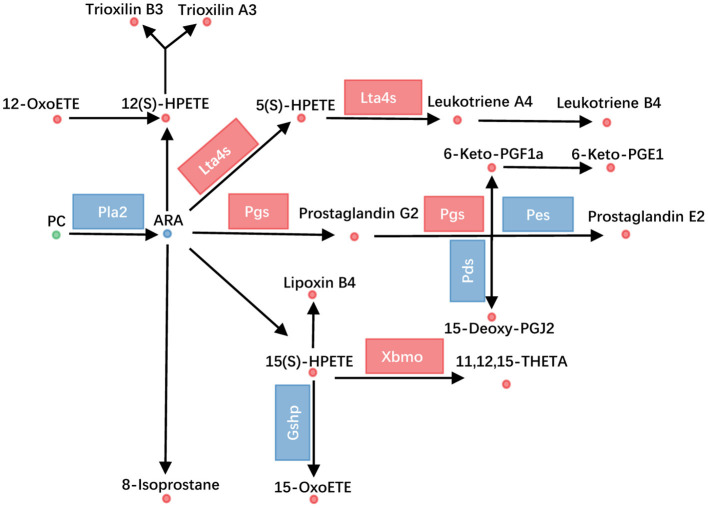 Figure 4