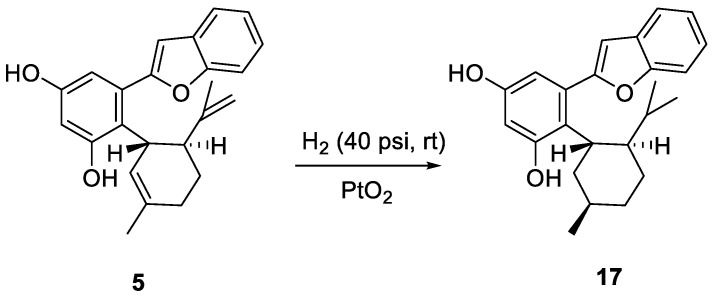 Scheme 4