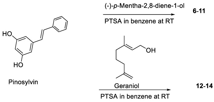 Scheme 2