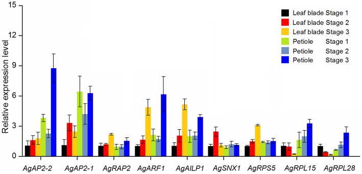 Figure 7