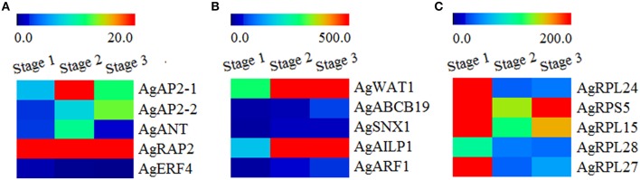 Figure 6