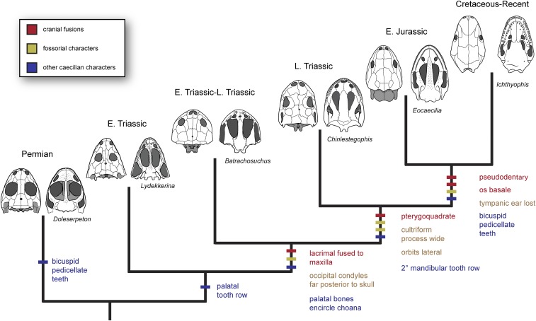 Fig. 3.