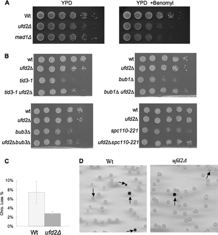 FIGURE 4.